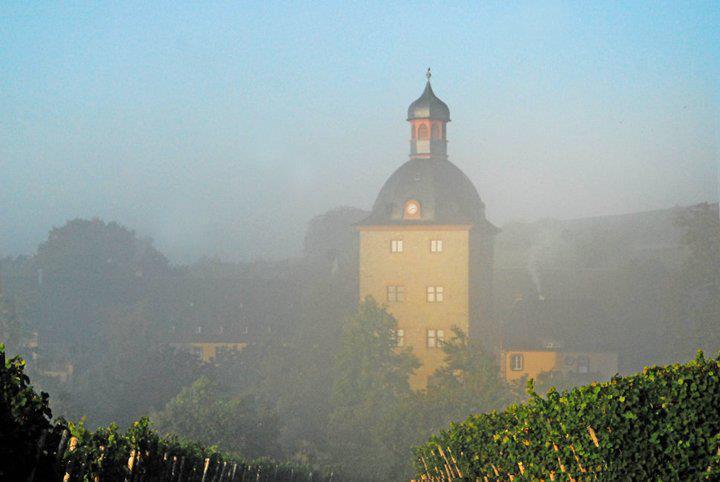 Hochzeitsfotografin auf Schloss Vollrads